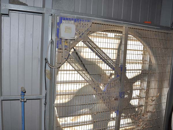 ventilation fan manufacturer in china