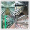 poultry farming equipment manufacture