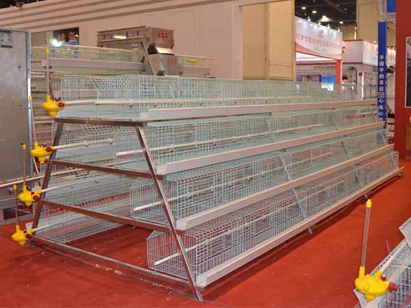 poultry chicken cage for sale