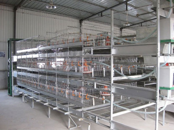 battery cage system for layers