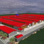 LIVI-Poultry-Rearing-Equipment-for-70000-Chicken-Farm-in-Russia