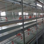 Quote-for-30000-Broiler-Chicken-Houses-for-Sale-in-Pretoria-South-Africa